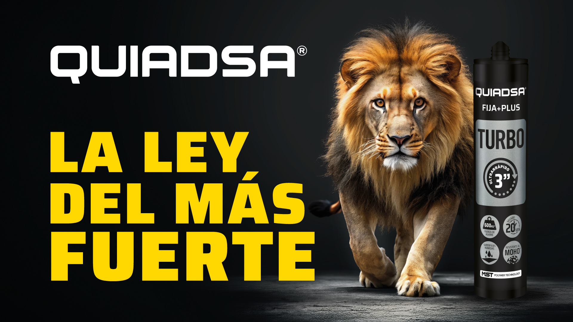 Quiadsa - La Ley del más fuerte